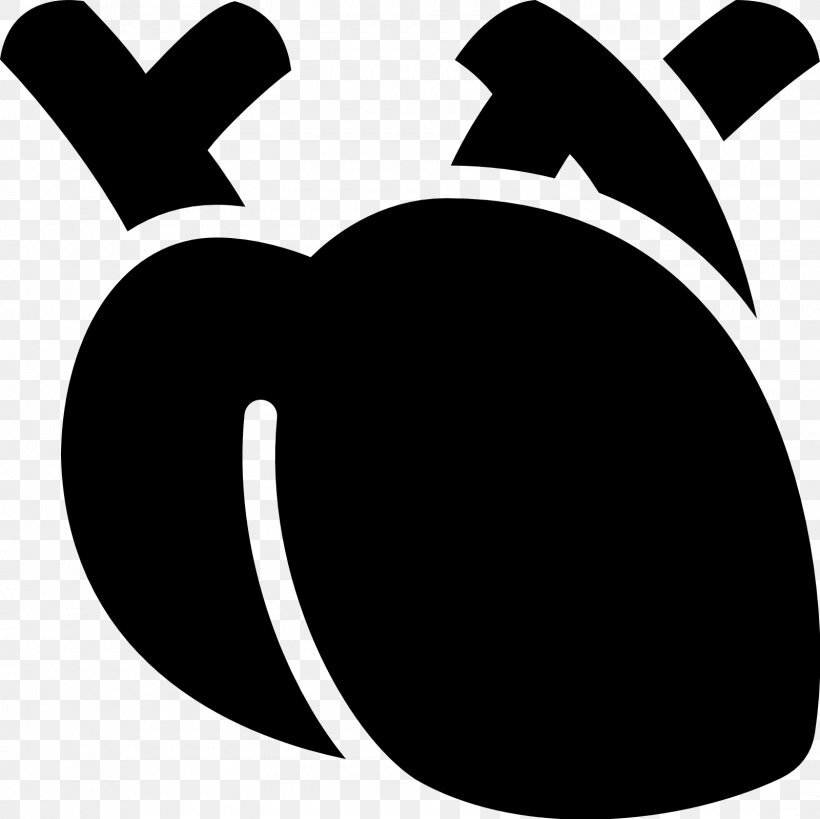 Heart Medicine Clip Art, PNG, 1600x1600px, Heart, Black, Black And White, Heart Rate, Heart Rate Monitor Download Free