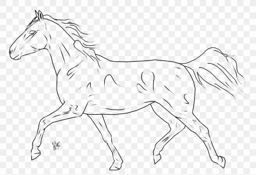 Foal Pony Bridle Mustang Mane, PNG, 900x617px, Foal, Animal, Animal Figure, Artwork, Black And White Download Free