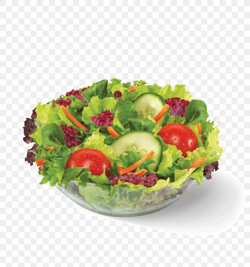 Romaine Lettuce Caprese Salad Caesar Salad French Fries, PNG, 1563x1667px, Romaine Lettuce, Caesar Salad, Caprese Salad, Chicken As Food, Diet Food Download Free