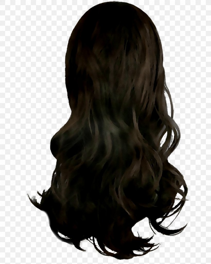 Black Hair Hair Coloring Long Hair Brown Hair, PNG, 1187x1484px, Hair ...