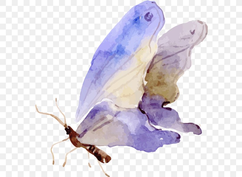 Butterfly Watercolor Painting Clip Art, PNG, 589x600px, Butterfly, Art, Arthropod, Color, Ink Download Free