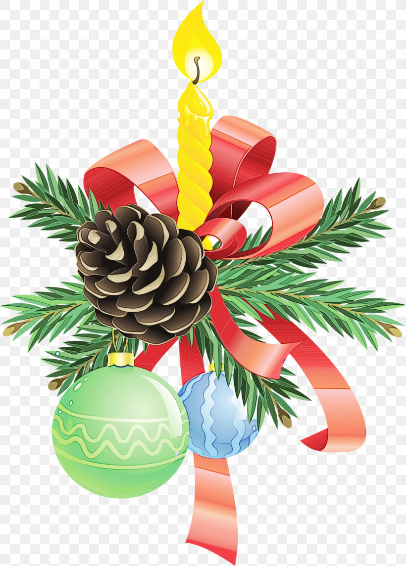 Christmas Ornament, PNG, 2148x2999px, Watercolor, Christmas Ornament, Colorado Spruce, Conifer, Conifer Cone Download Free