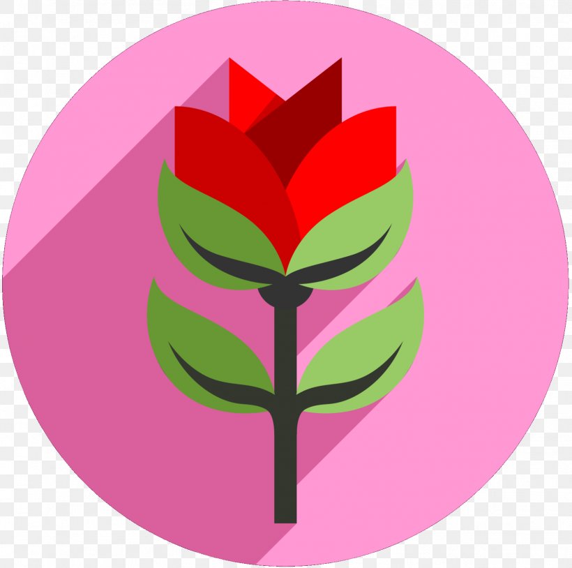 Clip Art Illustration Flowering Plant Leaf Tree, PNG, 1609x1599px, Flowering Plant, Botany, Emblem, Flower, Green Download Free