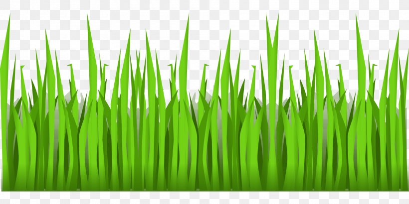 Clip Art Openclipart Image Vector Graphics, PNG, 1920x960px, Lawn, Art, Chrysopogon Zizanioides, Commodity, Document Download Free