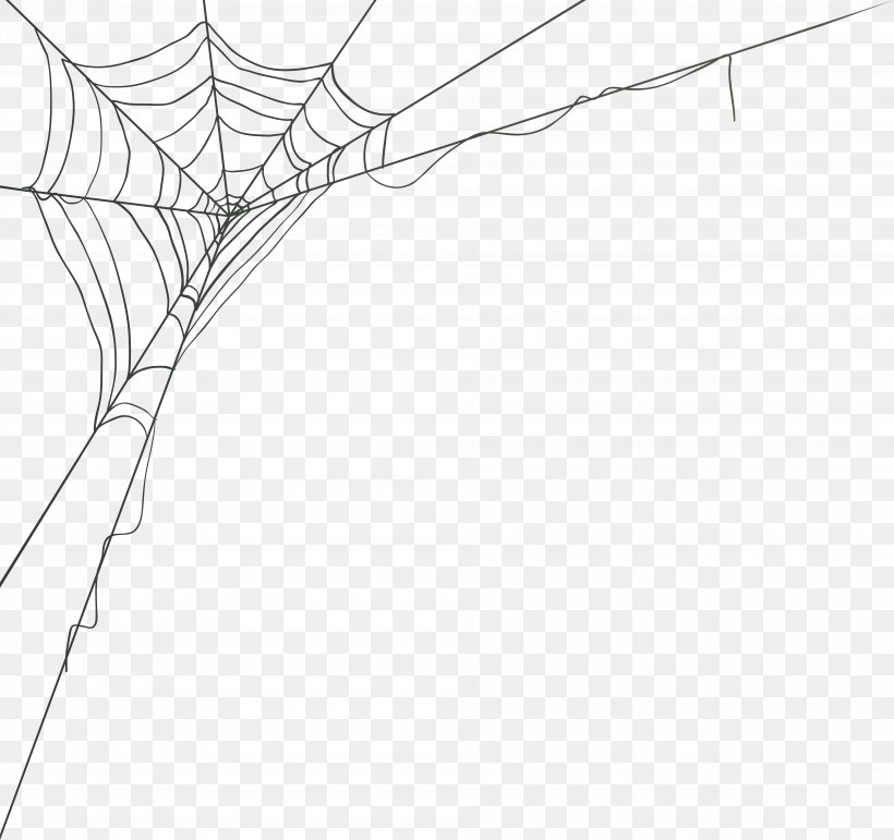 Spider Web Vector Graphics Image, PNG, 8000x7524px, Spider, Blackandwhite, Branch, Drawing, Line Art Download Free