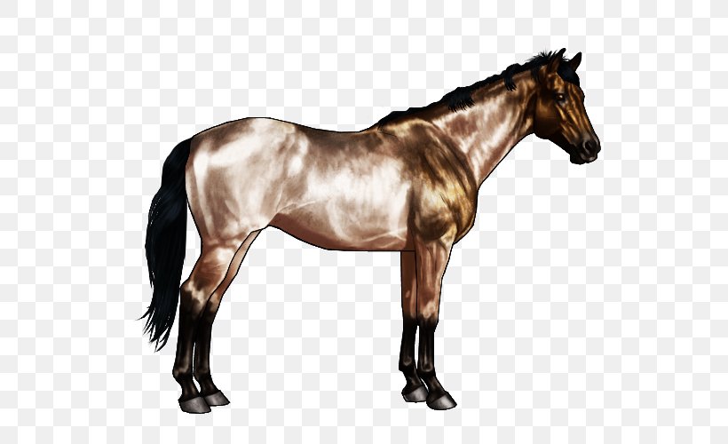 Appaloosa American Quarter Horse Horse Markings Chestnut Buckskin, PNG, 600x500px, Appaloosa, American Quarter Horse, Bay, Black, Bridle Download Free