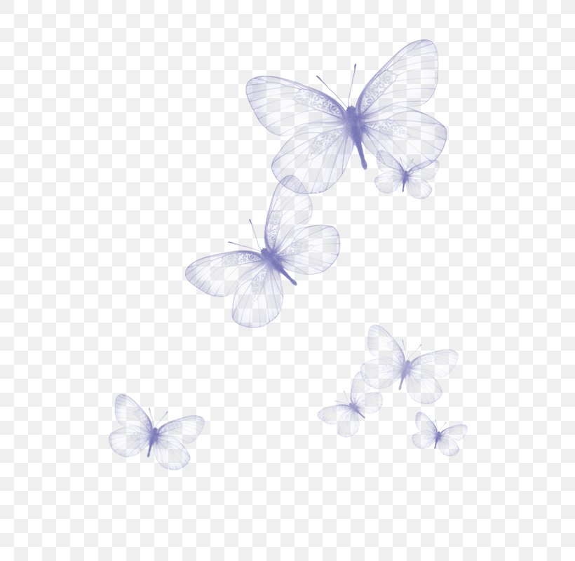 Butterfly Purple FreeMind Transparency And Translucency, PNG, 800x800px, Butterfly, Butterflies India, Flower, Freemind, Google Images Download Free