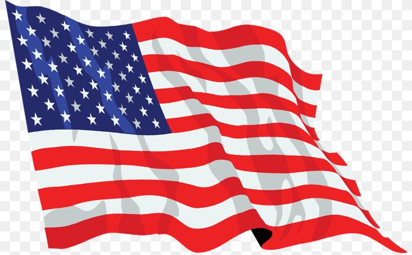 Flag Of The United States Flag Day Clip Art, PNG, 800x507px, United States, Coloring Book, Document, Flag, Flag Day Download Free