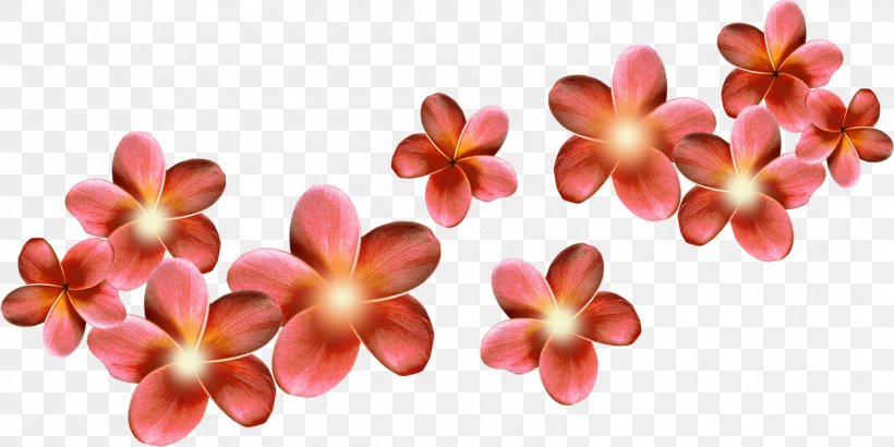 Flower Desktop Wallpaper Clip Art, PNG, 1659x831px, Flower, Cut Flowers, Digital Image, Display Resolution, Information Download Free