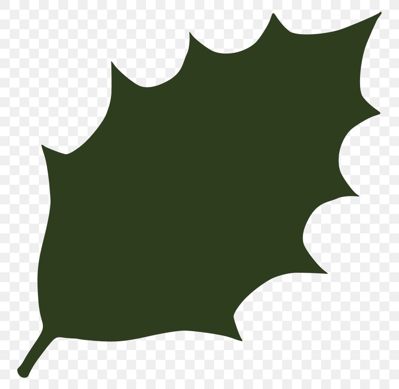 Leaf Green Clip Art, PNG, 800x800px, Leaf, Black, Color, Green, Maple Leaf Download Free