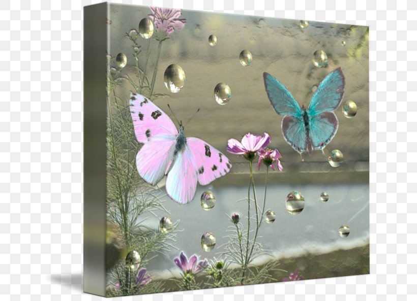 Picture Frames Gallery Wrap Canvas Art Printmaking, PNG, 650x593px, Picture Frames, Art, Butterfly, Canvas, Fauna Download Free