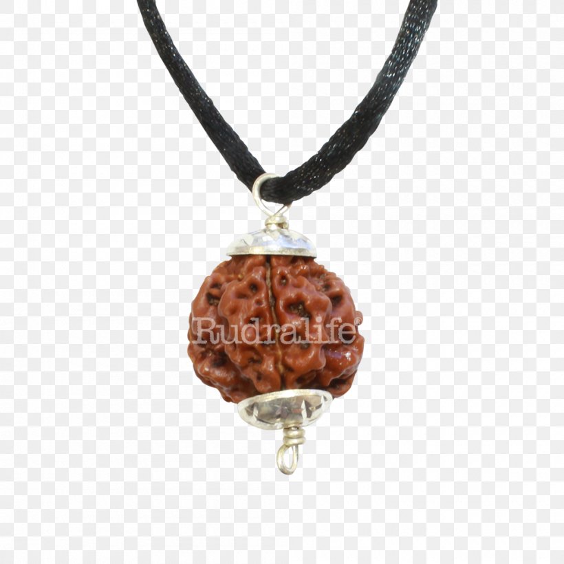 Rudraksha Locket Rudralife Necklace Jewellery, PNG, 1000x1000px, Rudraksha, Accident, Bead, Buddhist Prayer Beads, Charms Pendants Download Free