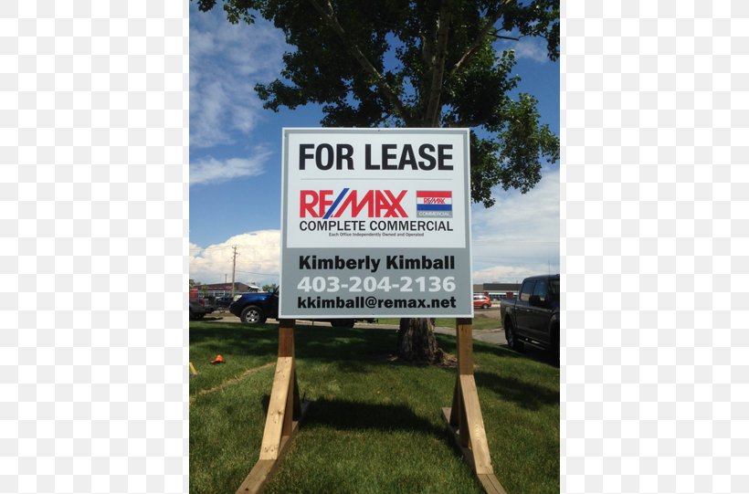 Blue Mountain Signs Real Estate Commercial Property House Lease, PNG, 800x541px, Blue Mountain Signs, Advertising, Area, Banner, Brand Download Free