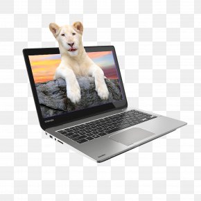 Lion Electronics Notebooks In Kind - Laptop Intel Toshiba Satellite Device Driver PNG
