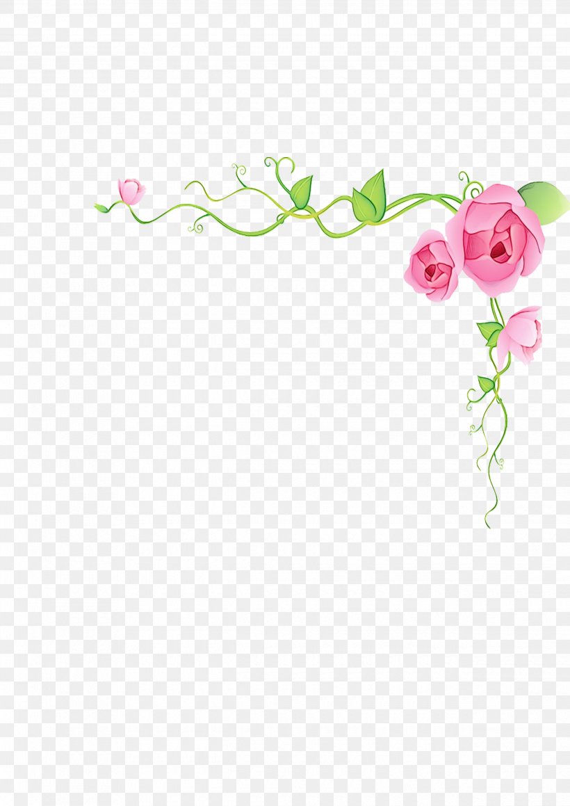 Rose, PNG, 2480x3508px, Watercolor, Branch, Flower, Moth Orchid, Paint Download Free