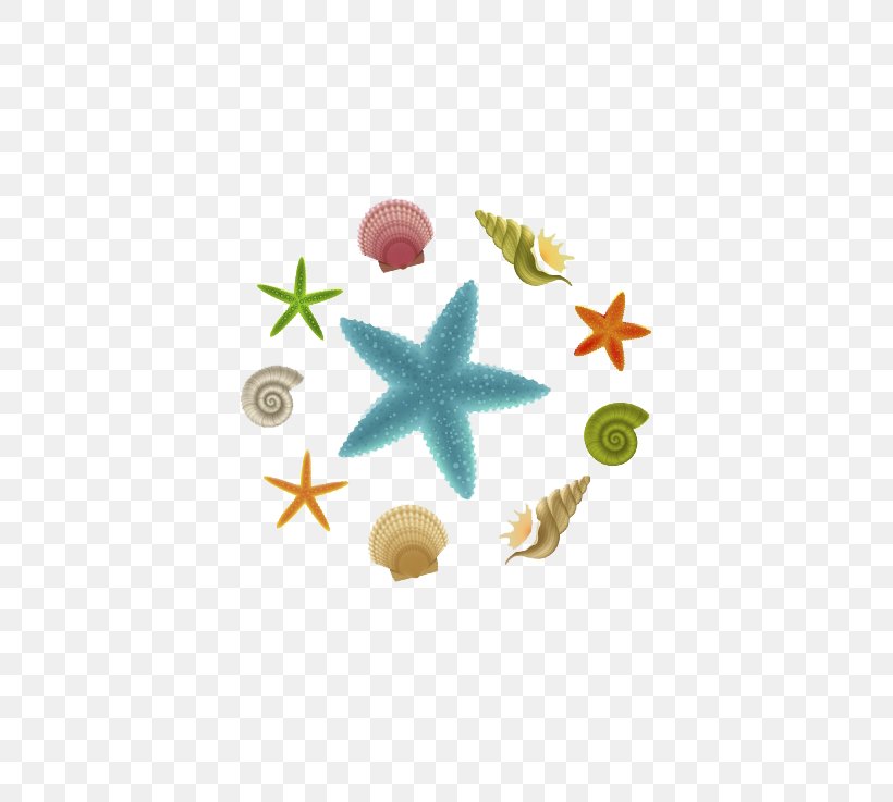 Starfish Clip Art, PNG, 623x737px, Starfish, Cdr, Drawing, Graphic Arts, Material Download Free