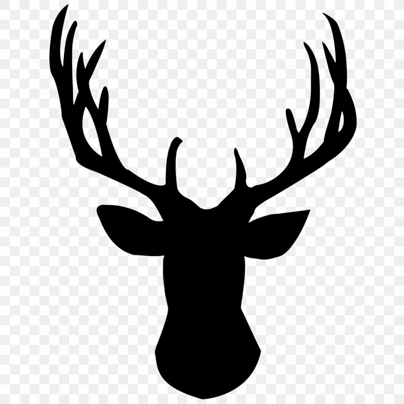White-tailed Deer Reindeer Stencil Red Deer, PNG, 1440x1440px, Deer, Antler, Art, Blackandwhite, Craft Download Free