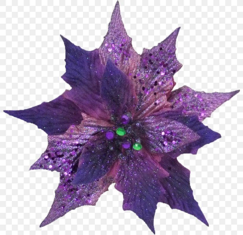 Flower Purple Leaf, PNG, 800x795px, Flower, Leaf, Plant, Purple, Violet Download Free
