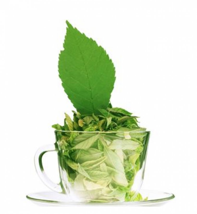 Green Tea Assam Tea Matcha White Tea, PNG, 1000x1087px, Tea, Alternative Medicine, Assam Tea, Black Tea, Camellia Sinensis Download Free