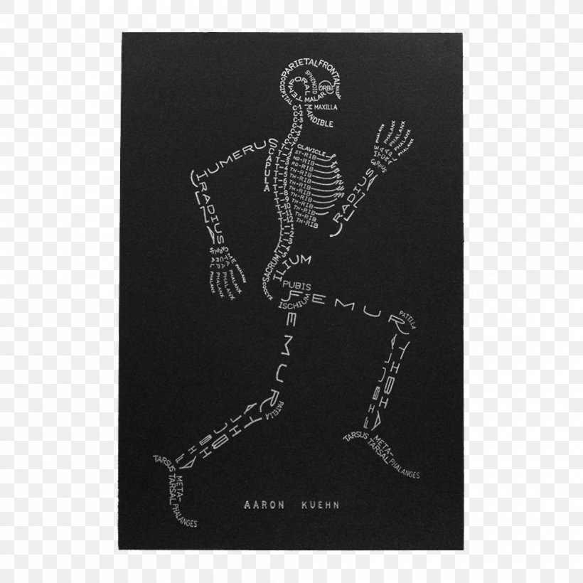 The Skeletal System Human Skeleton Human Body Anatomy, PNG, 1000x1000px, Skeletal System, Anatomy, Biology, Bone, Human Anatomy Download Free