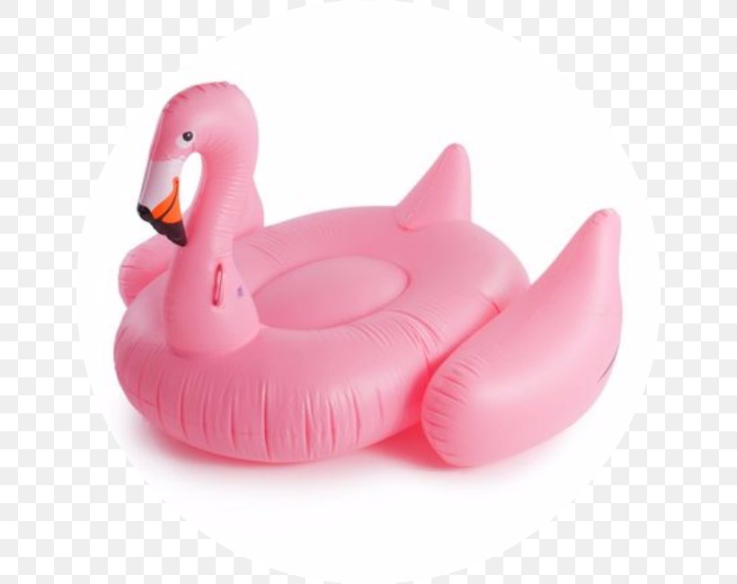 Bird Pink M, PNG, 650x650px, Bird, Ducks Geese And Swans, Pink, Pink M, Water Bird Download Free