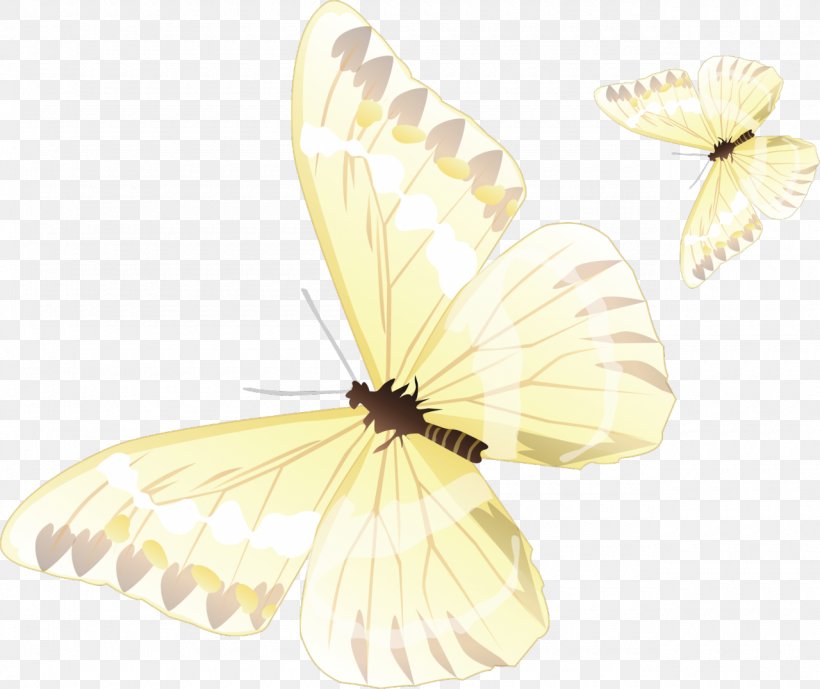 Butterfly Color Clip Art, PNG, 1280x1077px, Butterfly, Archiveis, Arthropod, Brush Footed Butterfly, Butterflies And Moths Download Free