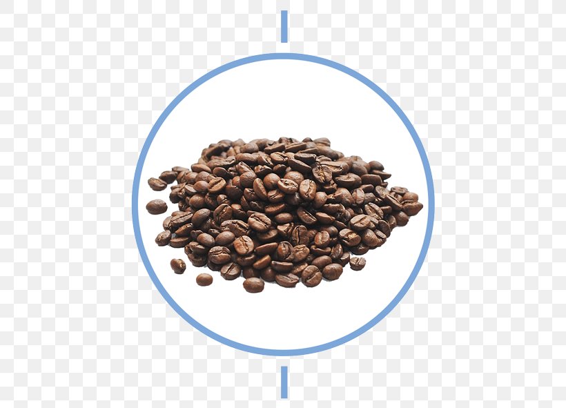Coffee Moka Pot Cafe Espresso Cold Brew, PNG, 500x591px, Coffee, Arabica Coffee, Brewed Coffee, Cafe, Caffeine Download Free