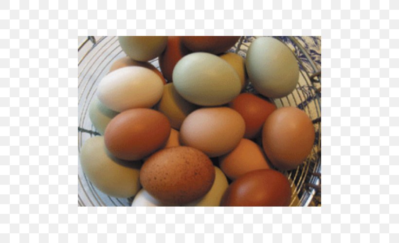 Egg, PNG, 500x500px, Egg, Ingredient Download Free