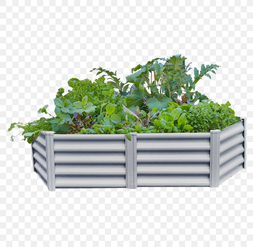 Herb Flowerpot Plastic Leaf Vegetable Rectangle, PNG, 800x800px, Herb, Flowerpot, Leaf Vegetable, Plant, Plastic Download Free