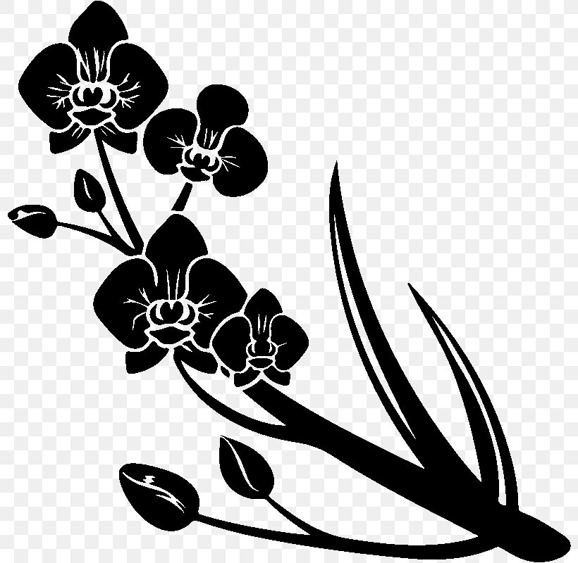 Orchids Flower Sticker Plants Vinyl Group, PNG, 800x800px, Orchids, Blackandwhite, Botany, Branch, Egrow Download Free