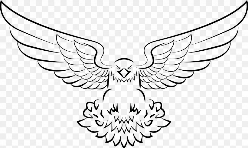 CrossFit Ridgewood Bald Eagle Drawing Clip Art, PNG, 3452x2057px, Bald Eagle, Artwork, Beak, Bird, Black And White Download Free