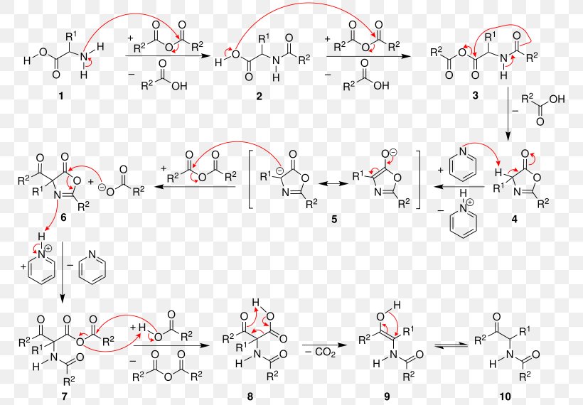 Dakin–West Reaction Acetylation Acylation Acetic Anhydride Reaction Mechanism, PNG, 778x570px, Acetylation, Acetic Anhydride, Activation, Acylation, Amino Acid Download Free