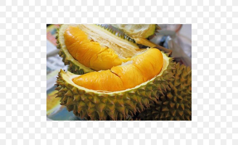 Durio Zibethinus Fruit Tree Orchard Thai Cuisine, PNG, 500x500px, Durio Zibethinus, Ananas, Benih, Bizarre Foods With Andrew Zimmern, Civet Download Free