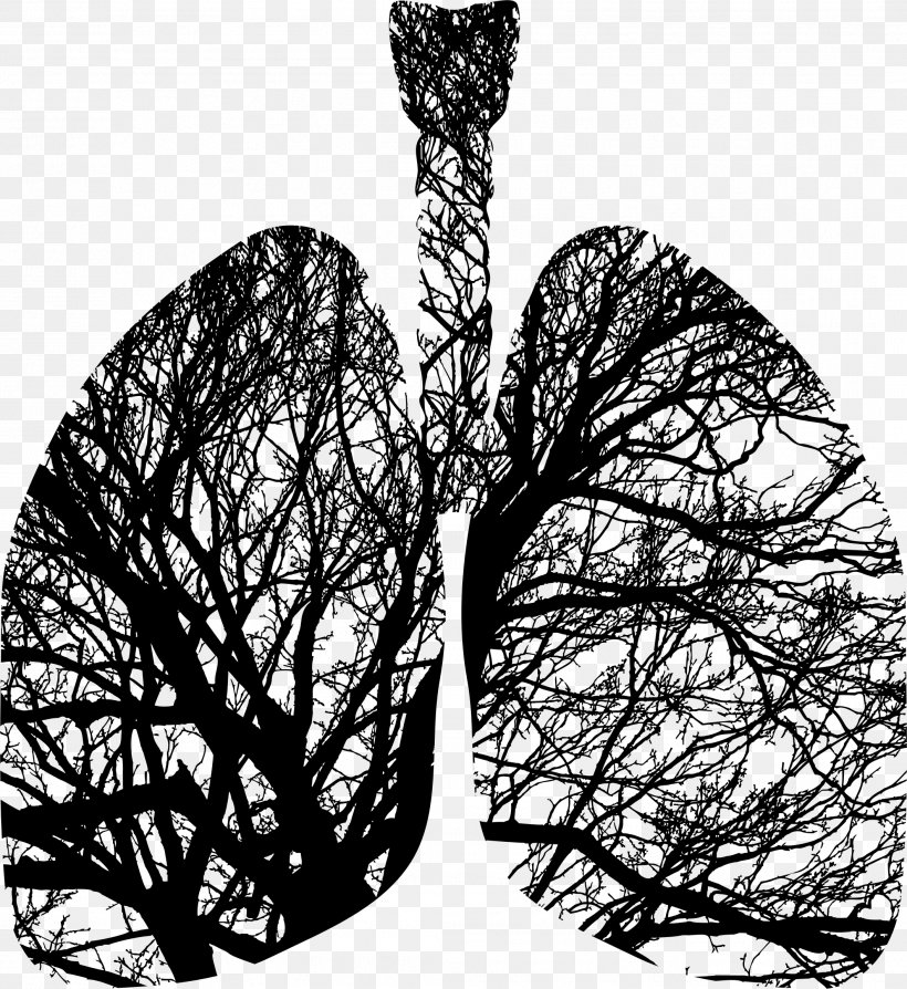 Tree Silhouette Lung Breathing, PNG, 2114x2305px, Tree, Anatomy, Black And White, Branch, Breathing Download Free