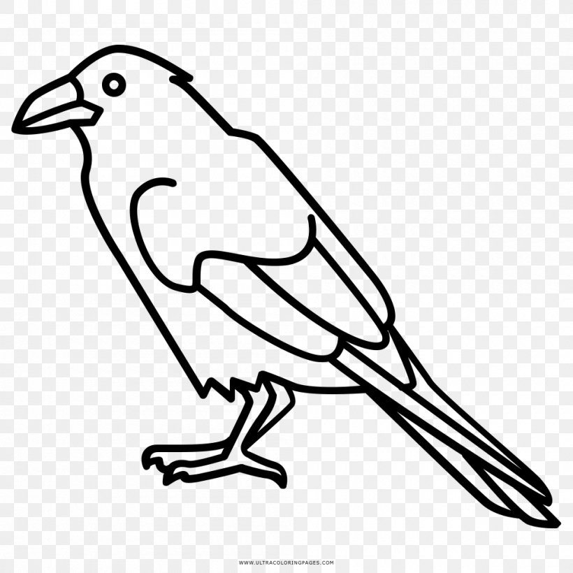 Coloring Book Common Raven Drawing Songbird, PNG, 1000x1000px, Coloring Book, Animal, Art, Ausmalbild, Beak Download Free
