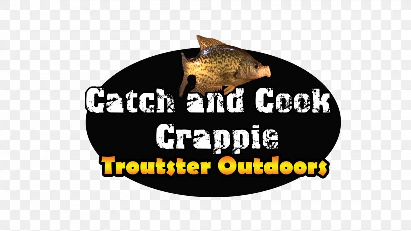 Fly Fishing Recreational Fishing Crappies Fishing Tackle, PNG, 1920x1080px, Fly Fishing, Brand, Brown Trout, Carnivoran, Cat Download Free