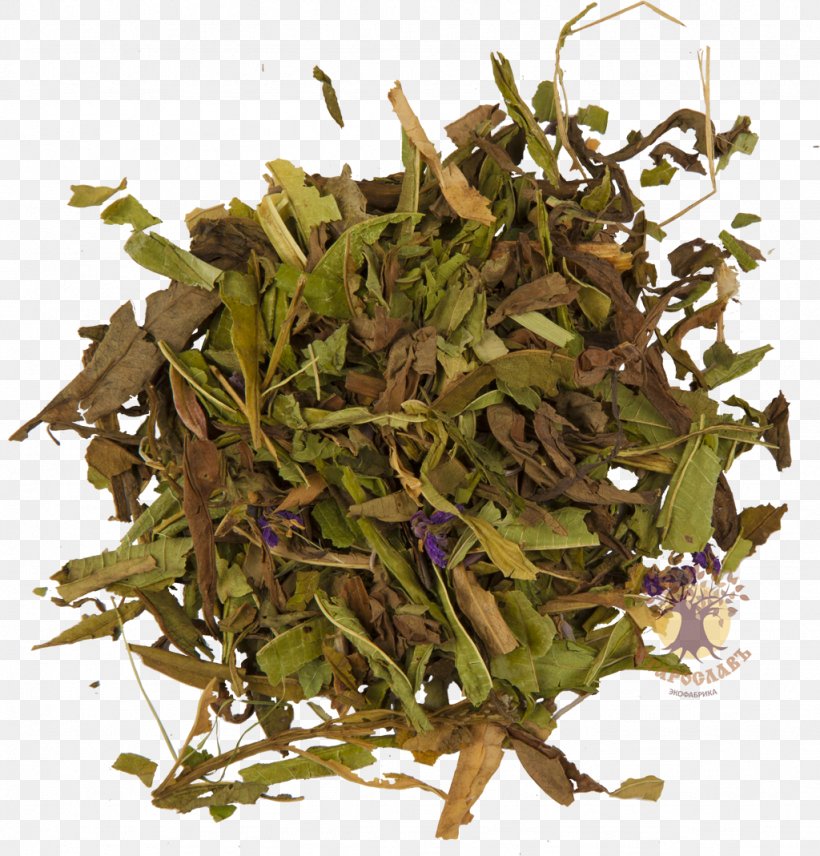 Tea Kazan Berdsk Zelenodolsk Fireweed, PNG, 1024x1069px, Tea, Berdsk, Bugulma, Decoction, Fireweed Download Free