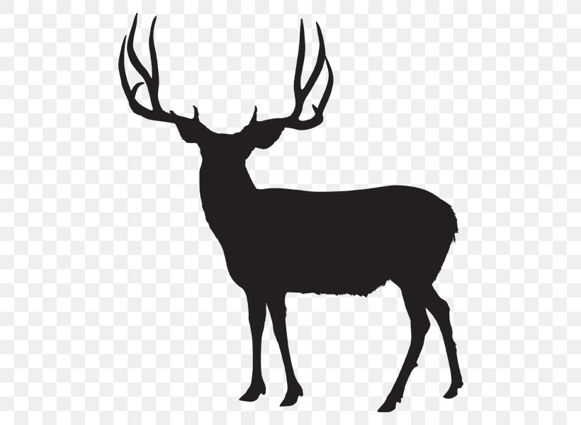 White-tailed Deer Utah Wild Boar Moose, PNG, 600x600px, Deer, Antler, Biggame Hunting, Black And White, Boar Hunting Download Free