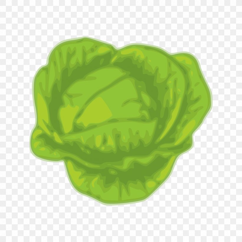 Greens Savoy Cabbage Vegetable Cauliflower, PNG, 2400x2400px, Greens, Brussels Sprouts, Cabbage, Cauliflower, Chinese Cabbage Download Free