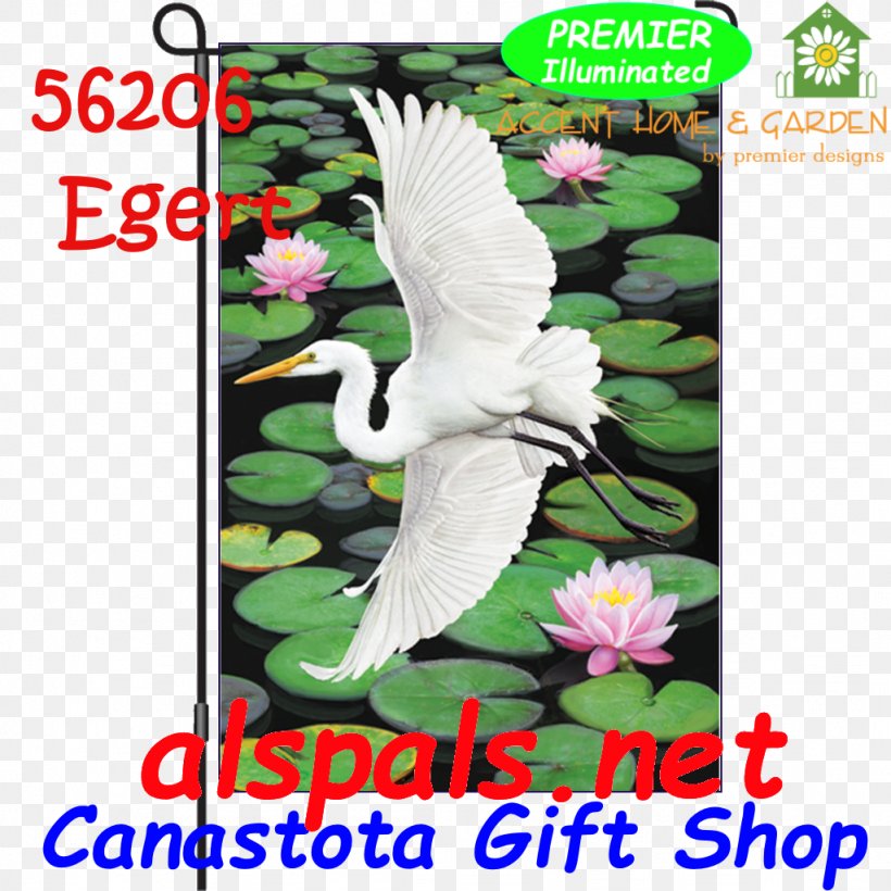 Heron Bird Egret Beak Feather, PNG, 1024x1024px, Heron, Advertising, Beak, Bird, Daffodil Download Free