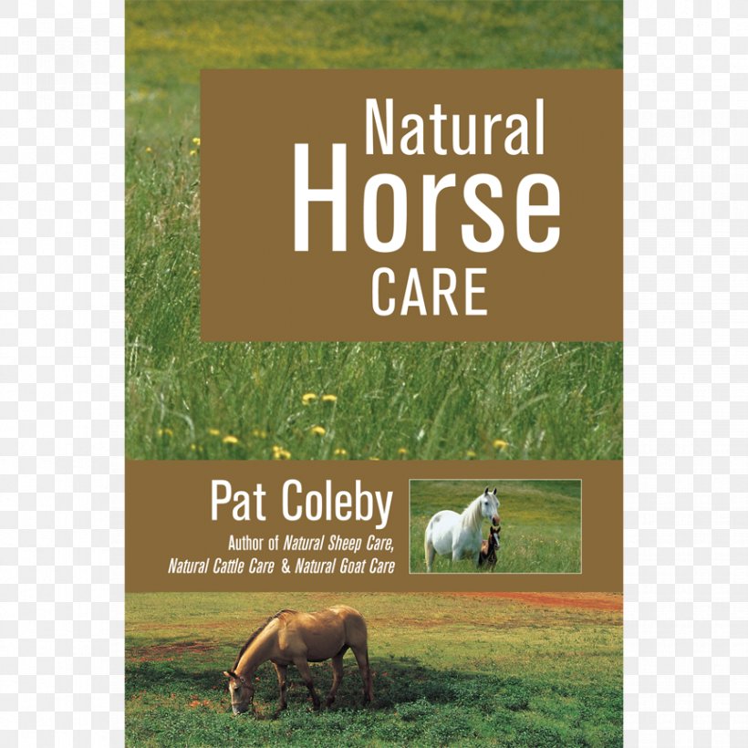 Natural Horse Care Natural Cattle Care Healthy Cattle Naturally Amazon.com, PNG, 864x864px, Horse, Advertising, Amazoncom, Animal, Book Download Free
