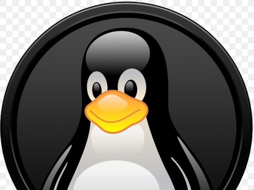 Tuxedo Linux Open-source Software Operating Systems, PNG, 894x671px, Tux, Beak, Bird, Computer Software, Flightless Bird Download Free