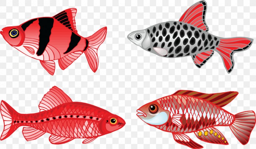 Veiltail Fish Fin Aquarium Fish Fin, PNG, 1090x633px, Veiltail, Animal, Animal Figure, Aquarium, Coral Reef Fish Download Free