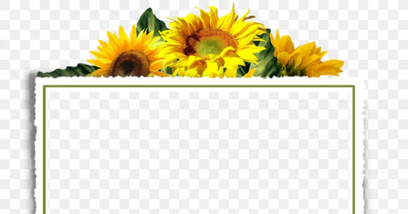 Borders And Frames Clip Art Decorative Borders Image, PNG, 1200x630px, Borders And Frames, Common Sunflower, Cut Flowers, Daisy Family, Decorative Borders Download Free