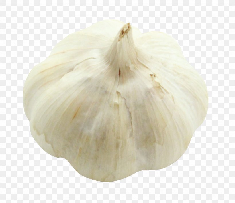 Elephant Garlic, PNG, 2116x1836px, Garlic, Elephant Garlic, Food, Ingredient, Onion Genus Download Free