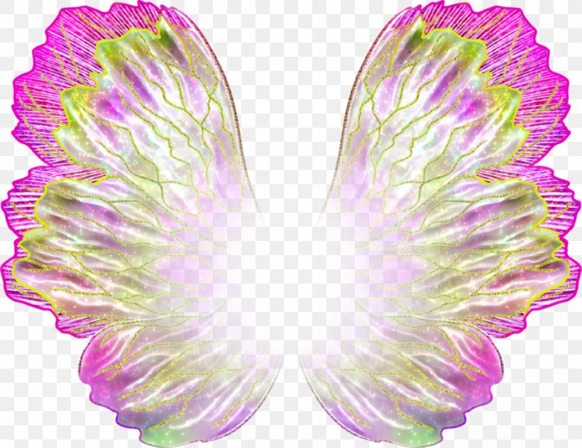 Flora Roxy Tecna Musa Aisha, PNG, 1018x785px, Flora, Aisha, Art, Butterfly, Deviantart Download Free