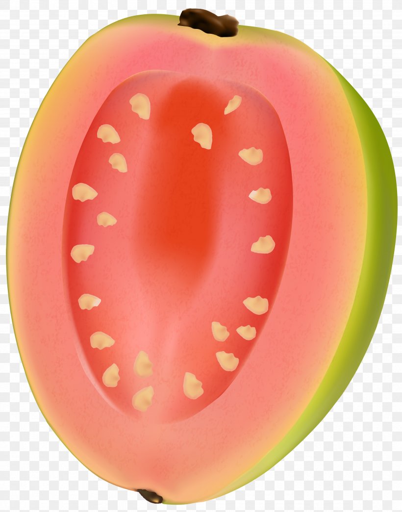 Guava Clip Art, PNG, 4712x6000px, Guava, Apple, Avocado, Carambola, Food Download Free
