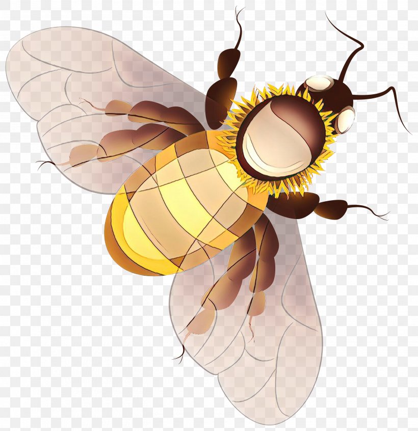 Insect Honeybee Bee Membrane-winged Insect Fly, PNG, 2905x3000px, Cartoon, Bee, Fly, Honeybee, Hornet Download Free
