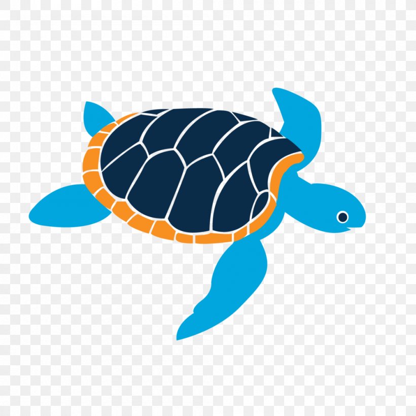 Island School Gift Card Student Loggerhead Sea Turtle, PNG, 1000x1000px, Island School, Birthday, Cobalt Blue, Credit Card, Electric Blue Download Free