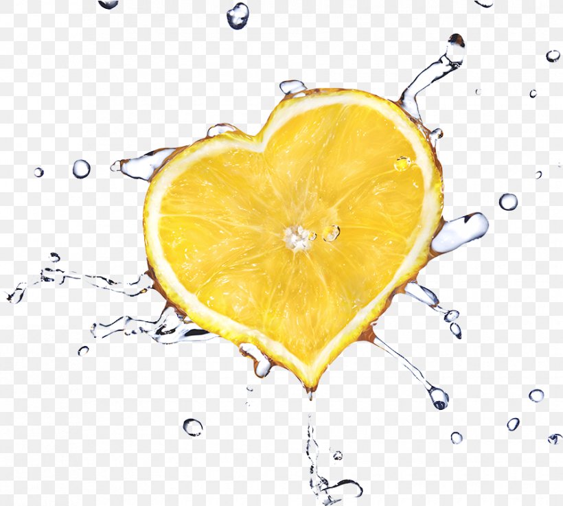 Lemon Juice, PNG, 890x800px, Juice, Citric Acid, Citrus, Fruit, Heart Download Free